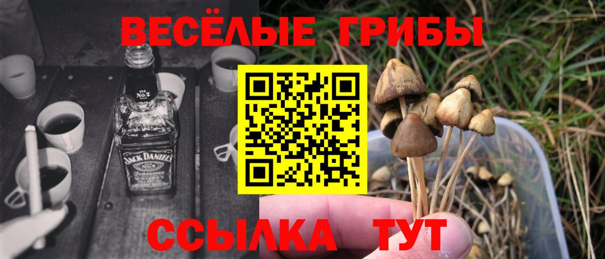 Новоалтайск  Псилоцибиновые грибы MAGIC MUSHROOMS  Вход с VPN 